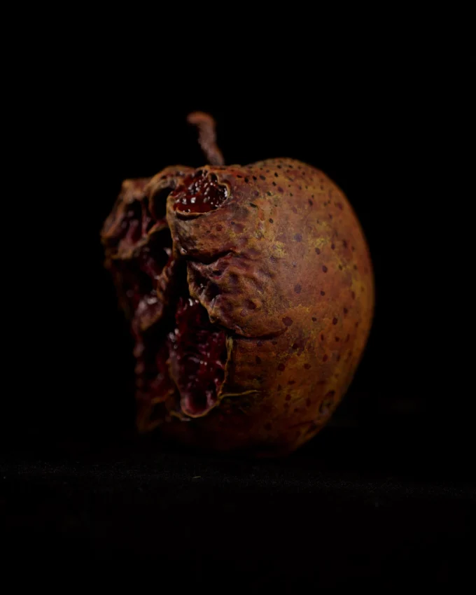 Monster Apple Creature - Image 4