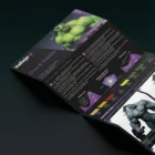 Orcs & Goblins - 72192